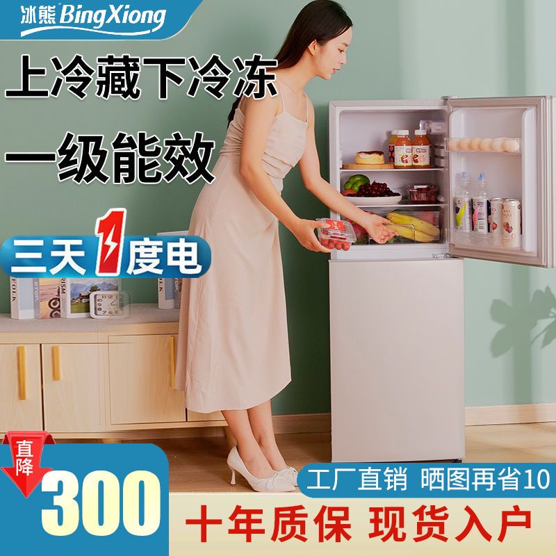 BingXiong 冰熊 冰箱节能宿舍出租屋小型家用双门三门电冰箱租房大容量冷冻