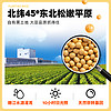 Joyoung soymilk 九陽豆漿 無添加蔗糖豆漿粉營養早餐代餐豆漿粉學生