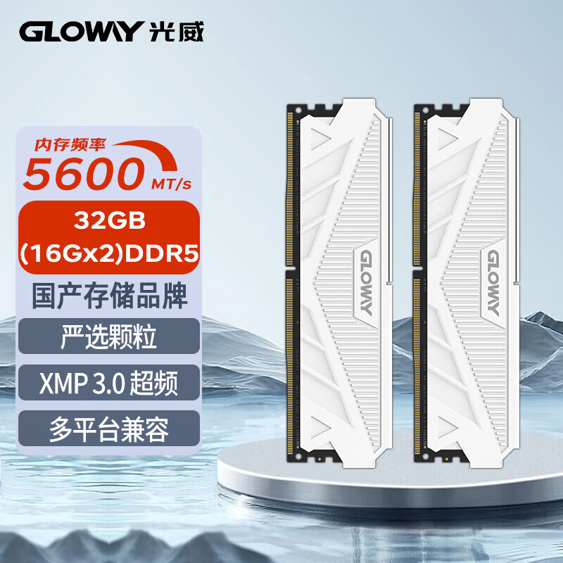光威天策RGB 神策 神武 龙武DDR5 6000频率/6400/6800 32G(16G*2)48G(24G*2)海力士颗粒马甲台式内存条 天策系列D5 5600 电竞款16G*2 精选颗粒 32G