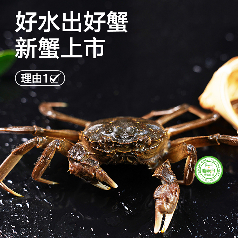 【六月黄大闸蟹超级桶】兴化鲜活大闸蟹10只特大螃蟹端午礼盒