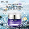 CHANDO 自然堂 凝時鮮顏肌活修護小紫瓶精華霜18.5g