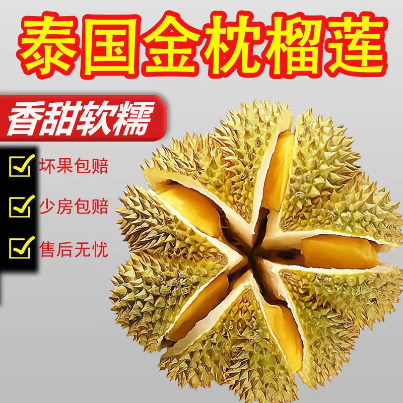 隆盛斋泰国巴掌榴莲鲜果巴掌榴莲1个装新鲜水果整颗带壳软糯香甜 泰国 巴掌榴莲 1.5-2.5斤装 / 保3-4房