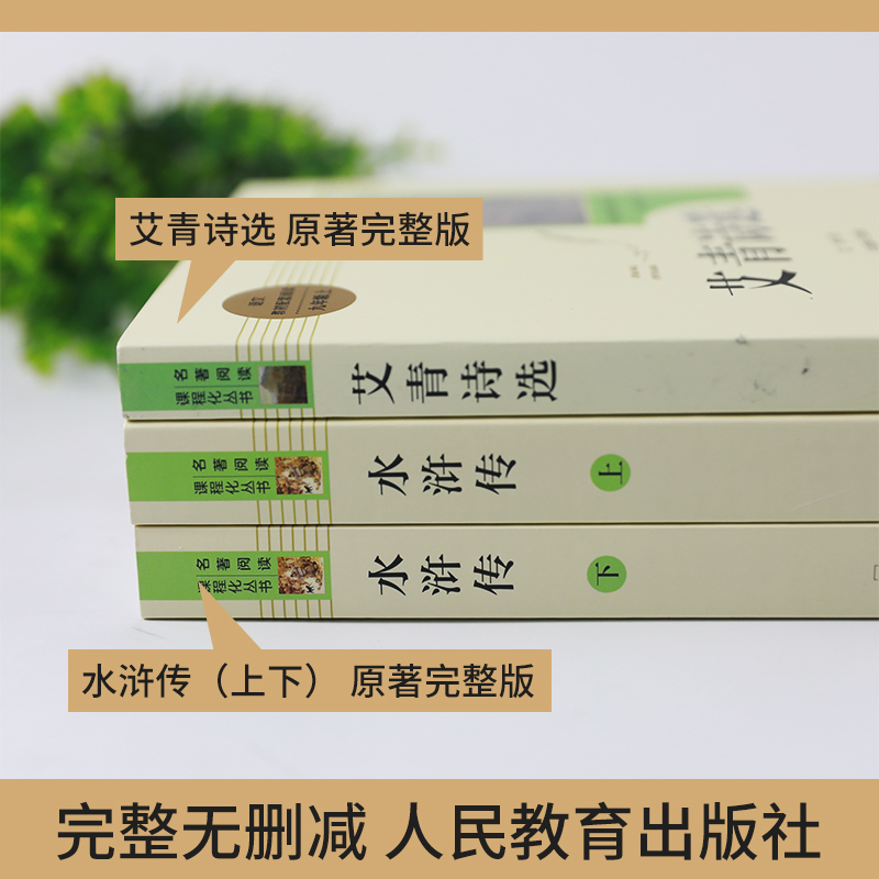 艾青诗选水浒传 九年级上册 阅读课程化丛书语文阅读完整版 艾青诗选 水浒传上下2册人民教育出版社 初三阅读