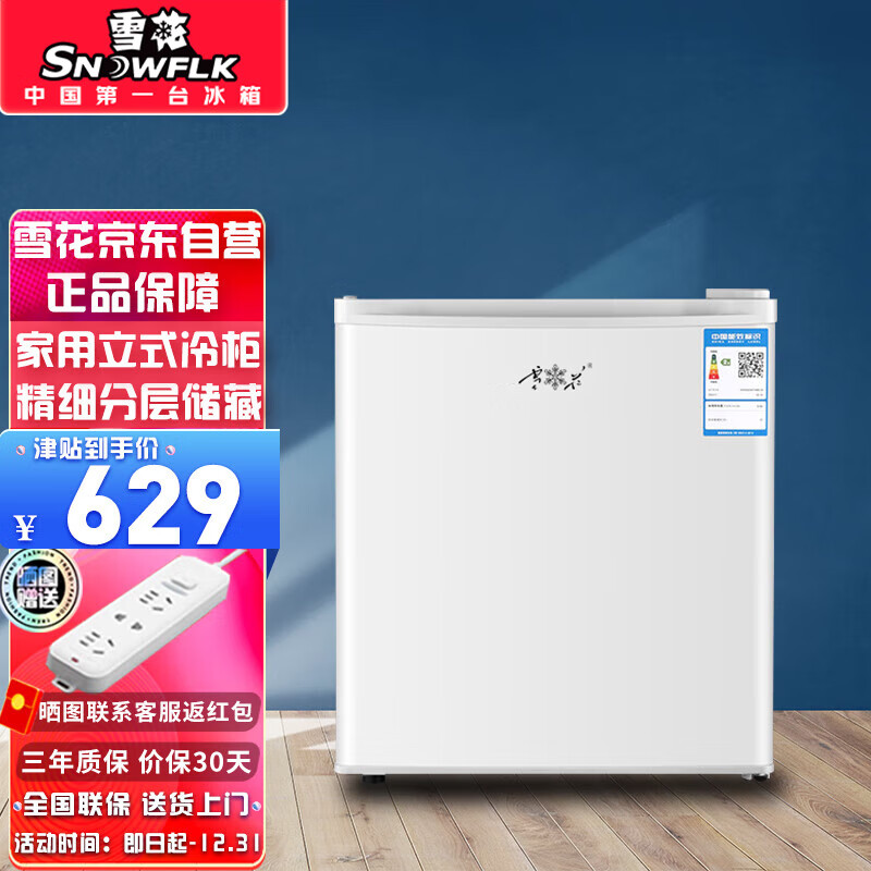 雪花（SNOWFLK）50升立式小冰柜家用匀冷 冷冻柜抽屉式冷柜囤货小冰柜家用小型冰箱 BD-50