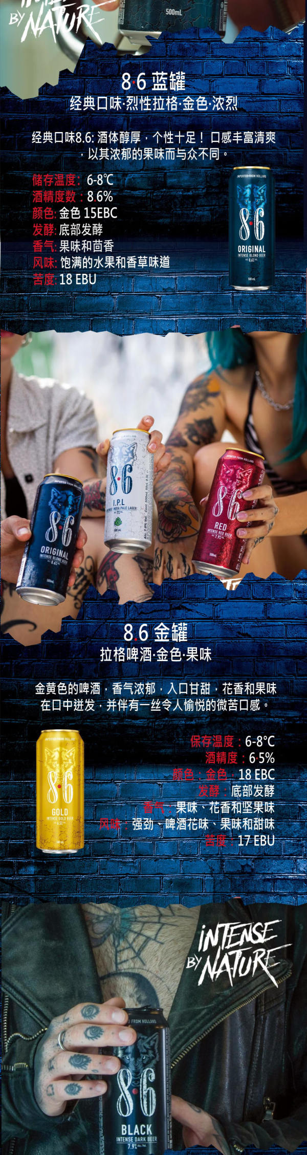 斯温克尔 Royal Swinkels SWINKELS 8.6 GOLD金罐花香黄金啤酒 500ml*12整箱 进口啤酒