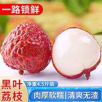 望果仙黑叶荔枝鲜荔枝单果16g+精品果净重4.5斤装新鲜水果现摘现发 黑叶荔枝爆甜 4.5斤