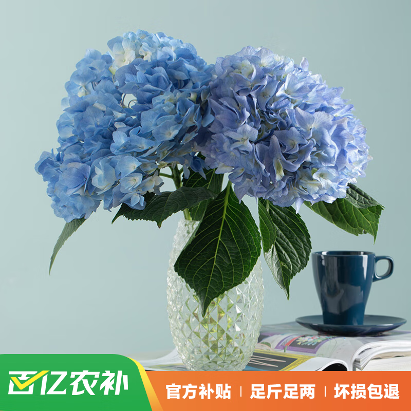 花点时间（Reflower）鲜花花束云南昆明基地直发鲜切花结婚女 【绣球】颜色3枝