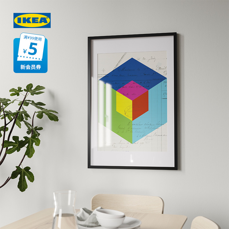 IKEA宜家RODALM略达姆画框相框挂墙画框墙面装裱现代家用