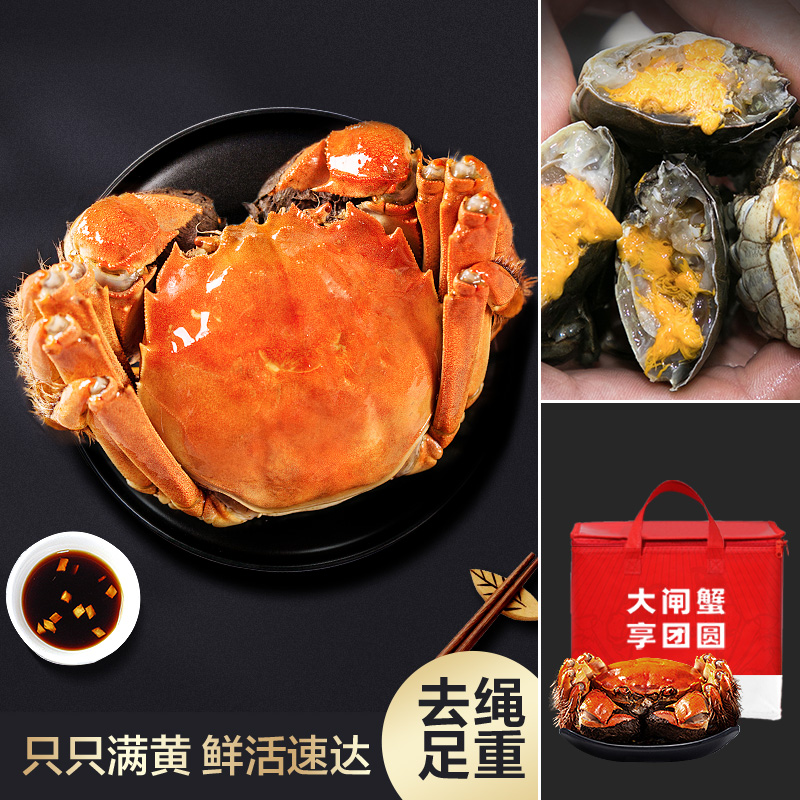 俏苏阁精品六月黄鲜活大闸蟹10只装2.0-2.3两/只活蟹礼盒
