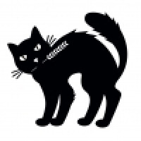 BLACK CAT/黑猫