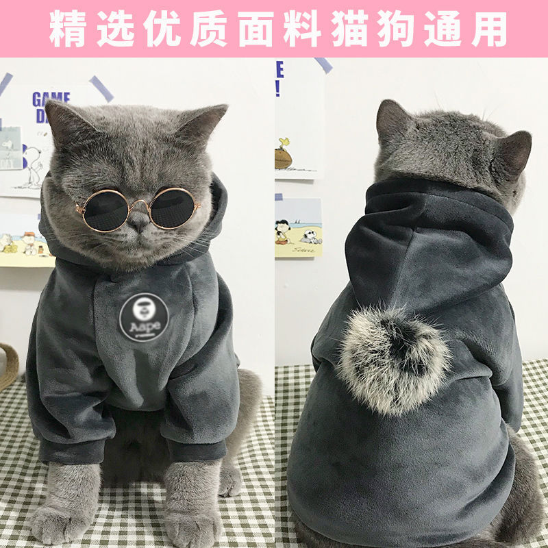 Lanswood 猫咪衣服防掉毛猫衣服冬保暖布偶猫无毛猫衣服搞笑狗狗宠物衣服 主图款【复合卫衣】