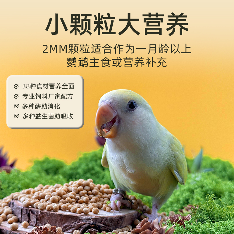 顶制鲜粮 Dzfood鹦鹉滋养丸鸟粮小颗粒虎皮牡丹玄风和尚小太阳励零食