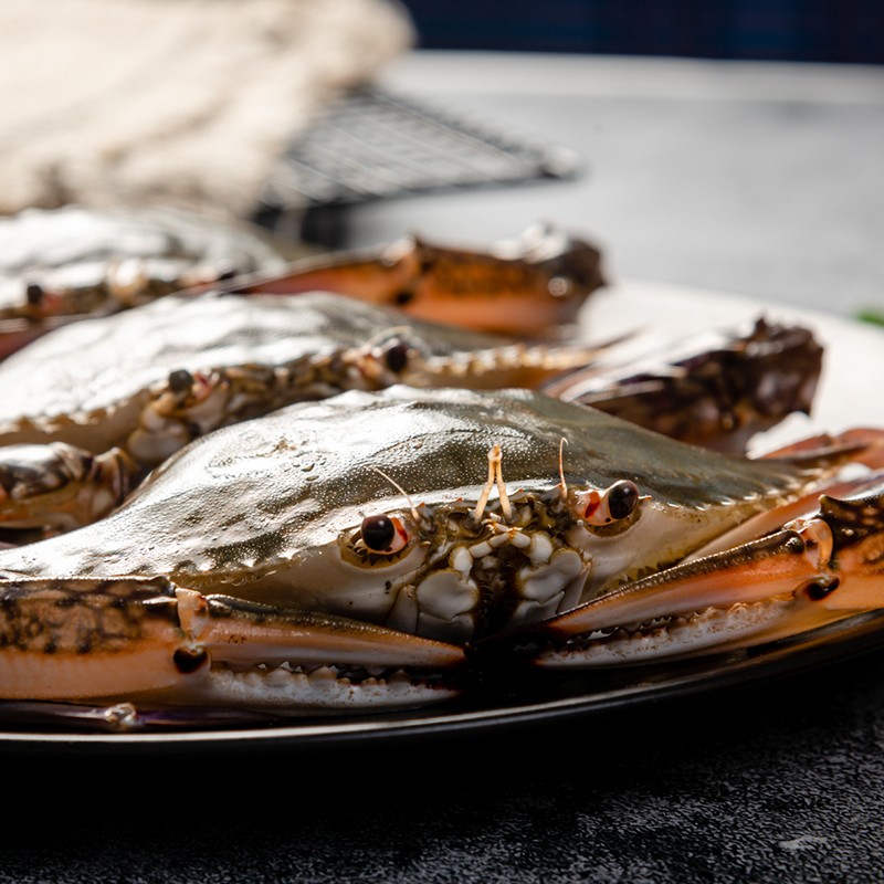 梭子蟹鲜活超大螃蟹冷冻舟山水产海鲜大白蟹海蟹红膏飞蟹
