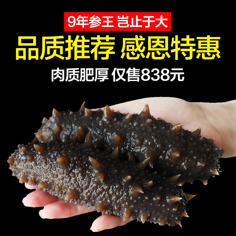 6-7年大连深海野生淡干海参海参干货250g深海辽刺参海礼盒