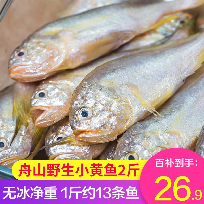 弹指鲜生舟山野生小黄鱼 约12-13条/斤 冷冻无冰黄花鱼 2斤【无冰净重】