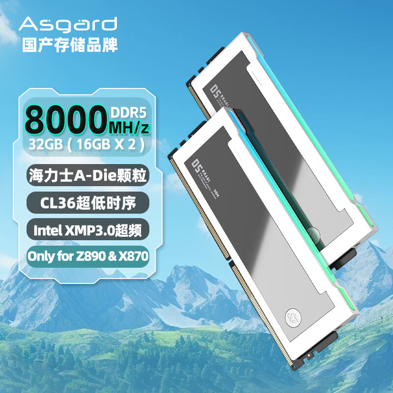 阿斯加特（Asgard）32GB(16Gx2)套 DDR5 8000 台式机内存条 RGB灯条-博拉琪Ⅱ代 极地白Only for Z890&X870