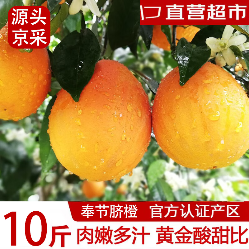 逮果重庆奉节脐橙 时令新鲜水果橙子年货产地直发3/5/10斤甜橙手剥橙  单果70-80mm 净重9斤