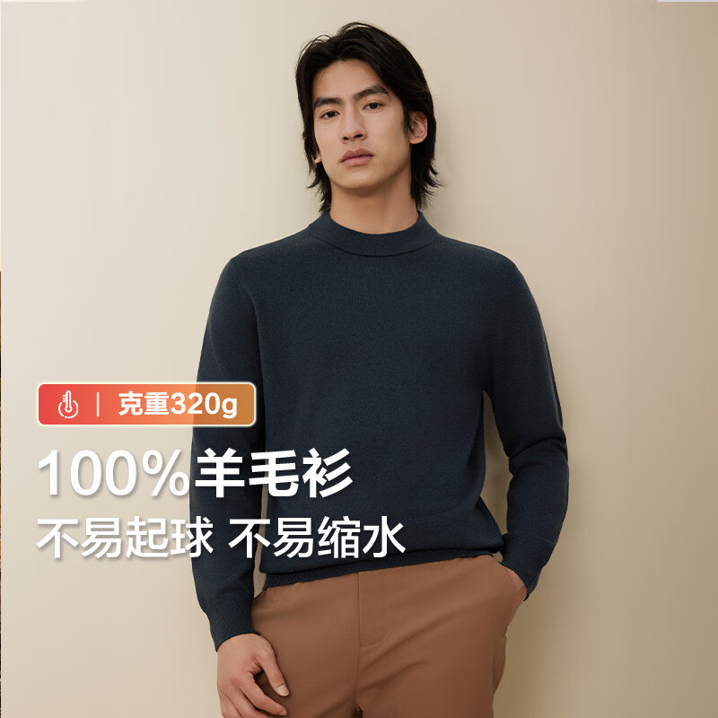 红豆（Hodo）【100%纯羊毛】红豆男装羊毛衫男24秋冬加厚针织衫打底衫毛衣男士