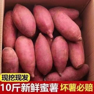 言觉 板栗蜜薯 西瓜红 沙地小香薯 9-10斤装