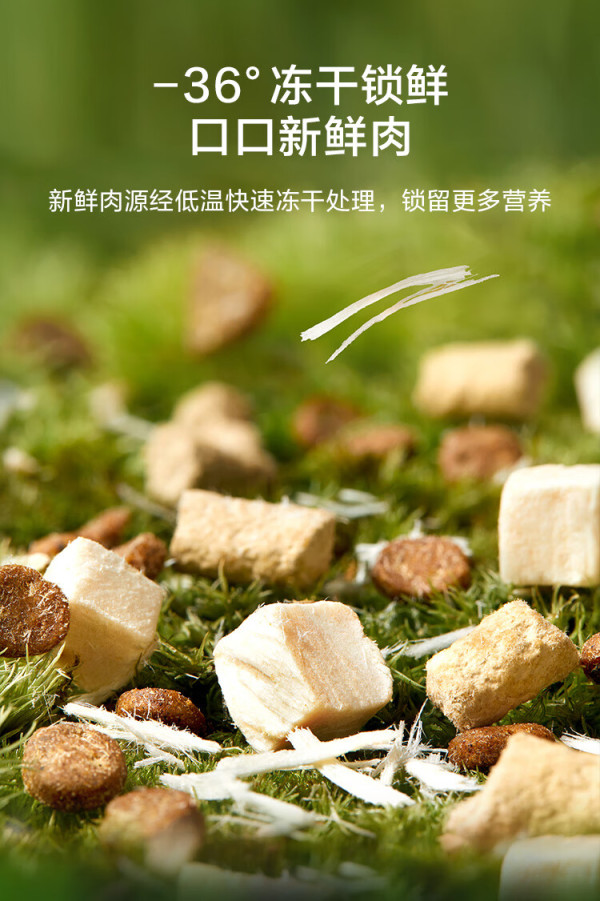 20点开始：a href='https://item.jd.com/100069941041.html' target='_blank'京东/a京造 鲜肉冻干全价狗粮 生骨肉双拼 10kg