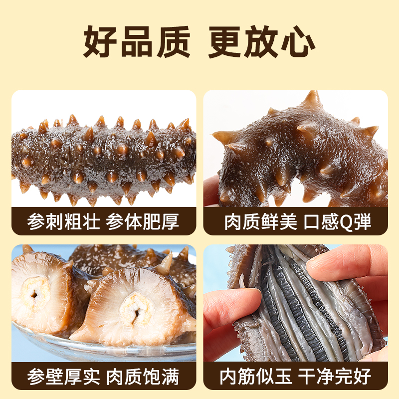 北京同仁堂冷冻即食海参1500g3斤大连辽参