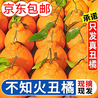 京地达四川不知火丑橘桔子 8.5斤特大果85-100mm丑八怪新鲜水果源头直发