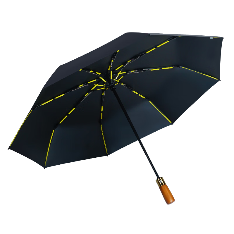 红叶红叶全玻纤双骨雨伞超大号雨具全自动伞折叠伞男双人雨伞晴雨两用  24骨以上 96骨