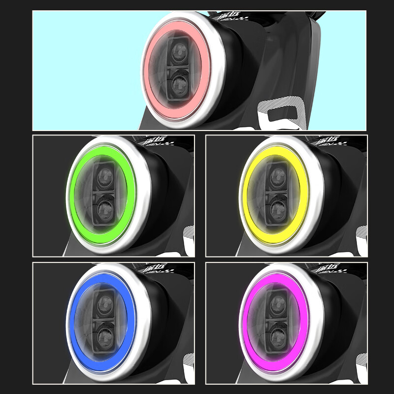 粤池久深远009运动版1.0电动车3代新国标电动自行车锂电家用外卖电瓶车磷酸铁锂男女成人通用电瓶车