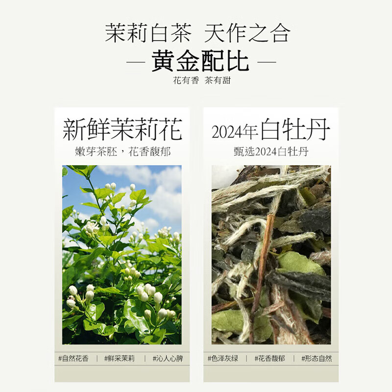 六妙白茶会茶叶2024年白牡丹茉莉白茶福鼎白茶冷泡茶茉莉花茶