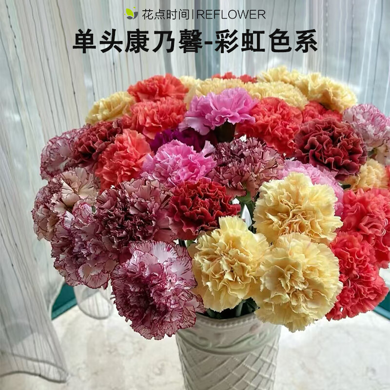 花点时间（Reflower）康乃馨鲜花云南昆明基地源头直发鲜切花彩虹色10枝