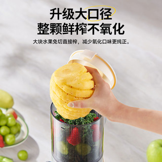 BLAUPUNKT德国蓝宝大口径原汁机榨汁机渣汁分离小型家用料理机 白色-