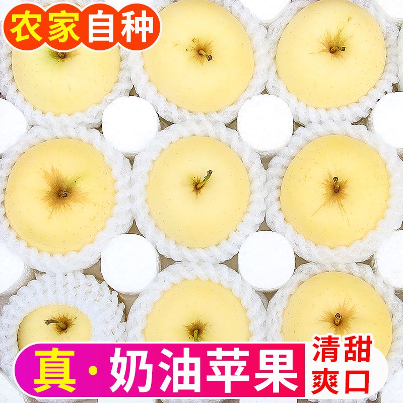 山东烟台奶油苹果红富士新鲜水果冰糖心白苹果牛奶脆甜礼盒