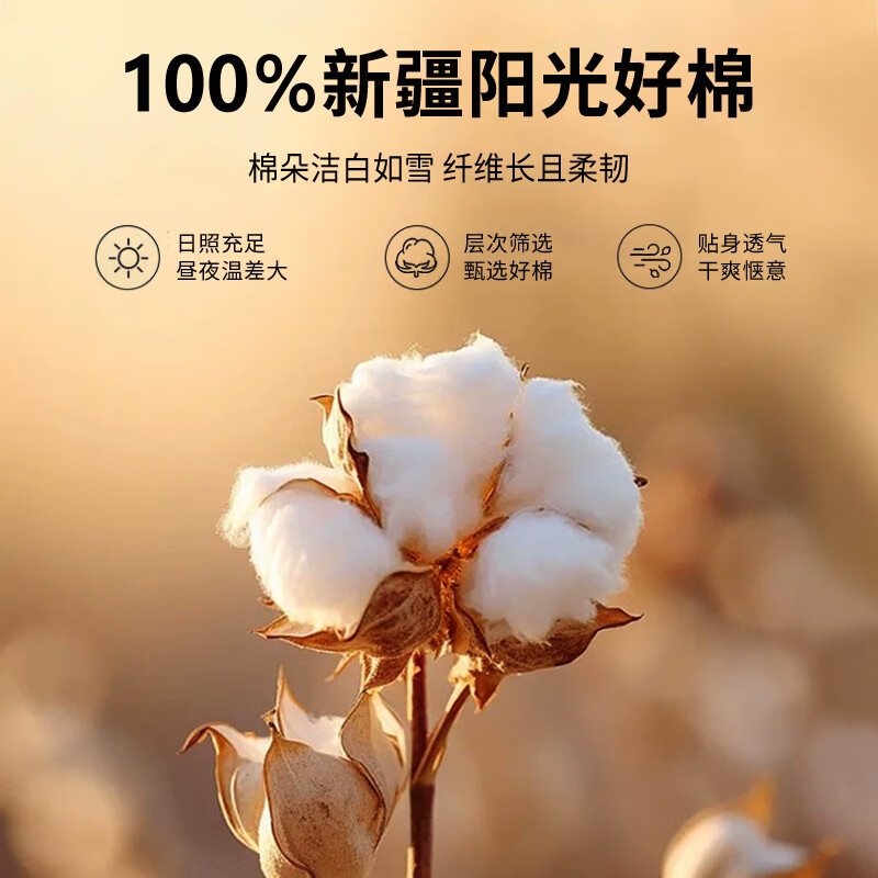 源生活 棉花被 100%新疆棉纯棉被子抗菌春秋被芯 约6斤 220x240cm印花