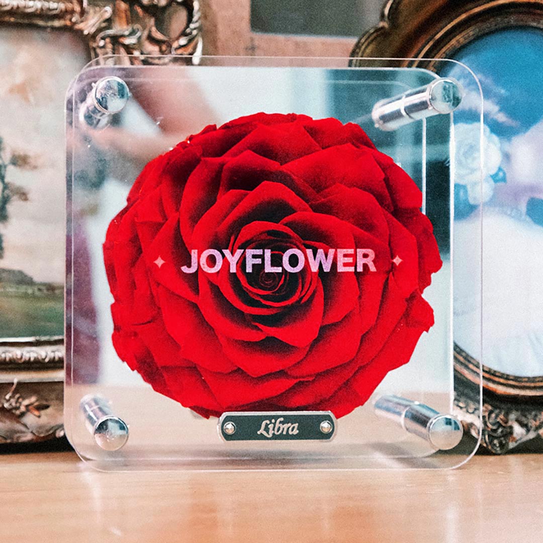 joyflower十二星座永生花