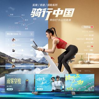 YESOUL野小兽美体动感单车家用室内自行运动减肥器材静音M2T