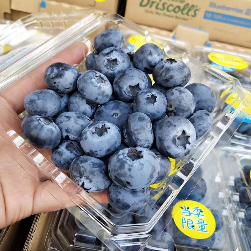 4盒中果14mm怡颗莓云南蓝莓当季限量现摘新鲜水果宝宝辅食