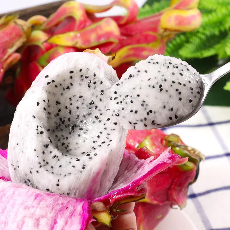 风车车农场白心火龙果 新鲜白肉火龙果 新鲜水果 8斤（单果300g-500g）