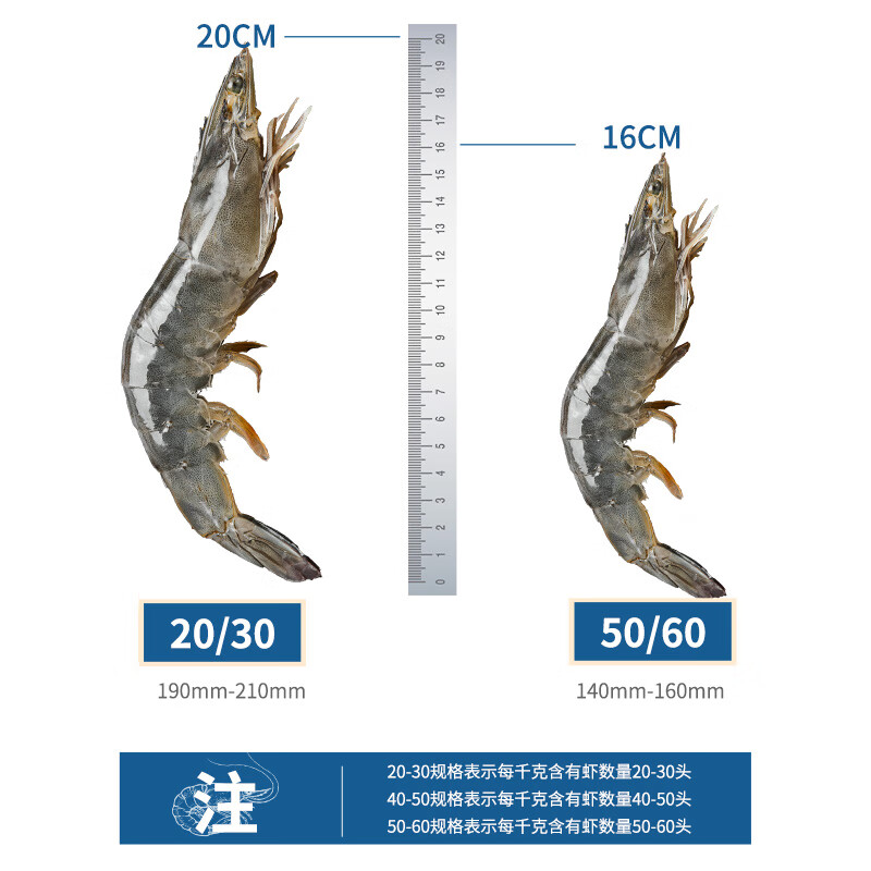 【当季新捕】厄瓜多尔大虾白虾鲜活速冻盐冻2030南美白对虾无冰