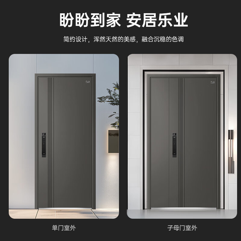 盼盼 PANPAN防盗门别墅大门甲级家用加高门头门指纹锁子母门单门防撬防盗入户门 单门-2050*960-外开 机械锁