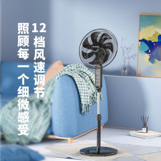 美菱 电风扇直流变频卧室客厅风扇家用轻音一级能效落地扇纯铜电机