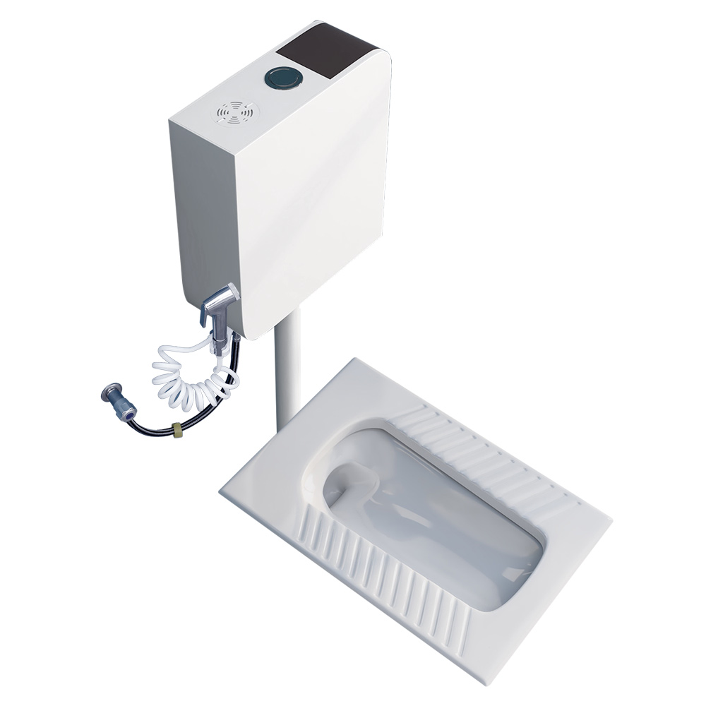 蹲便器家用蹲坑厕所卫浴陶瓷大便器便池冲水箱蹲厕卫生间防臭便盆