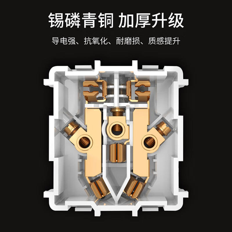 TEP 国际电工 86型暗装墙壁电源开关圆形香槟金拉丝五孔带开关插座 五孔(10A) 插座