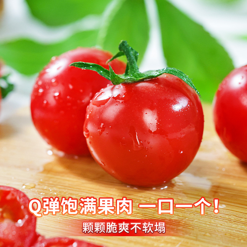 圣女果千禧小番茄超甜新鲜自然熟西红柿生吃水果现摘包邮