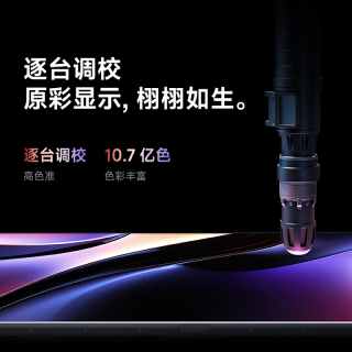 红米 A 2025款 65英寸 L65RB-RAE 液晶电视
