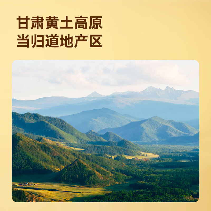 京东京造当归+党参+黄芪组合装甘肃产泡水养生茶煲汤料补气