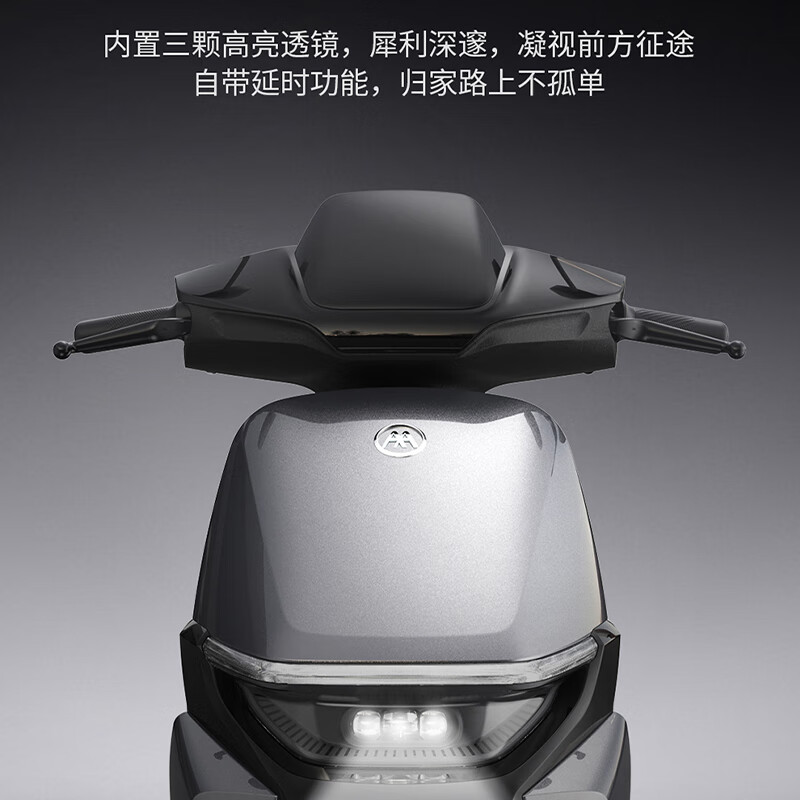 爱玛（AIMA）猎骑新国标长续航电瓶车成人男女代步豪华电动车电动自行车 到店自提选色