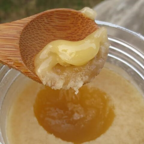 北京同仁堂纯真土蜂蜜天然蜂农自产非原蜜结晶包邮纯正成熟洋槐蜜500g瓶 结晶土蜂蜜一斤不送