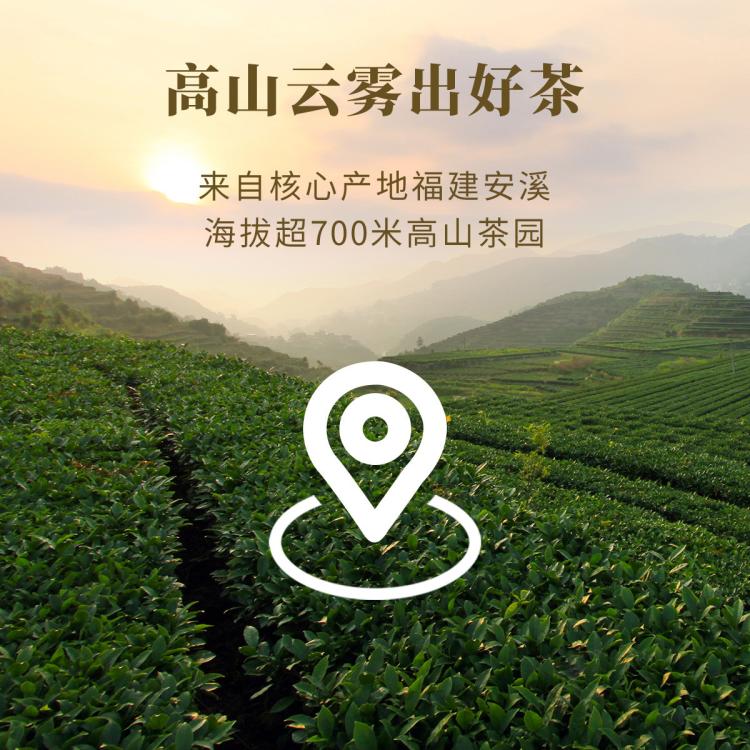 八马茶业 bamatea安溪铁观音清香型铁观音大份量罐装252g