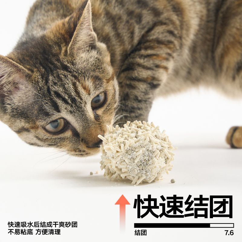  彼诞 pidan 混合升级 猫砂