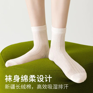 卡拉美拉 新疆棉芭蕾风网眼休闲袜 5色5双